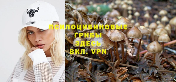 ALPHA PVP Алзамай