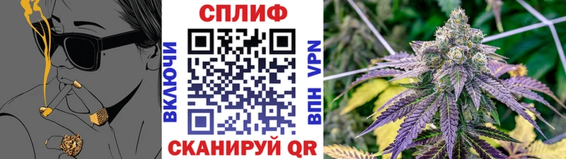 Шишки марихуана VHQ  где купить наркоту  Новая Усмань 